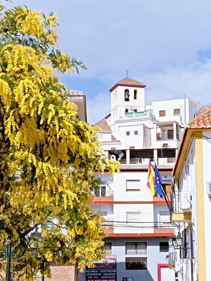 El Almendro De Maruja Apartment Torviscon Bagian luar foto