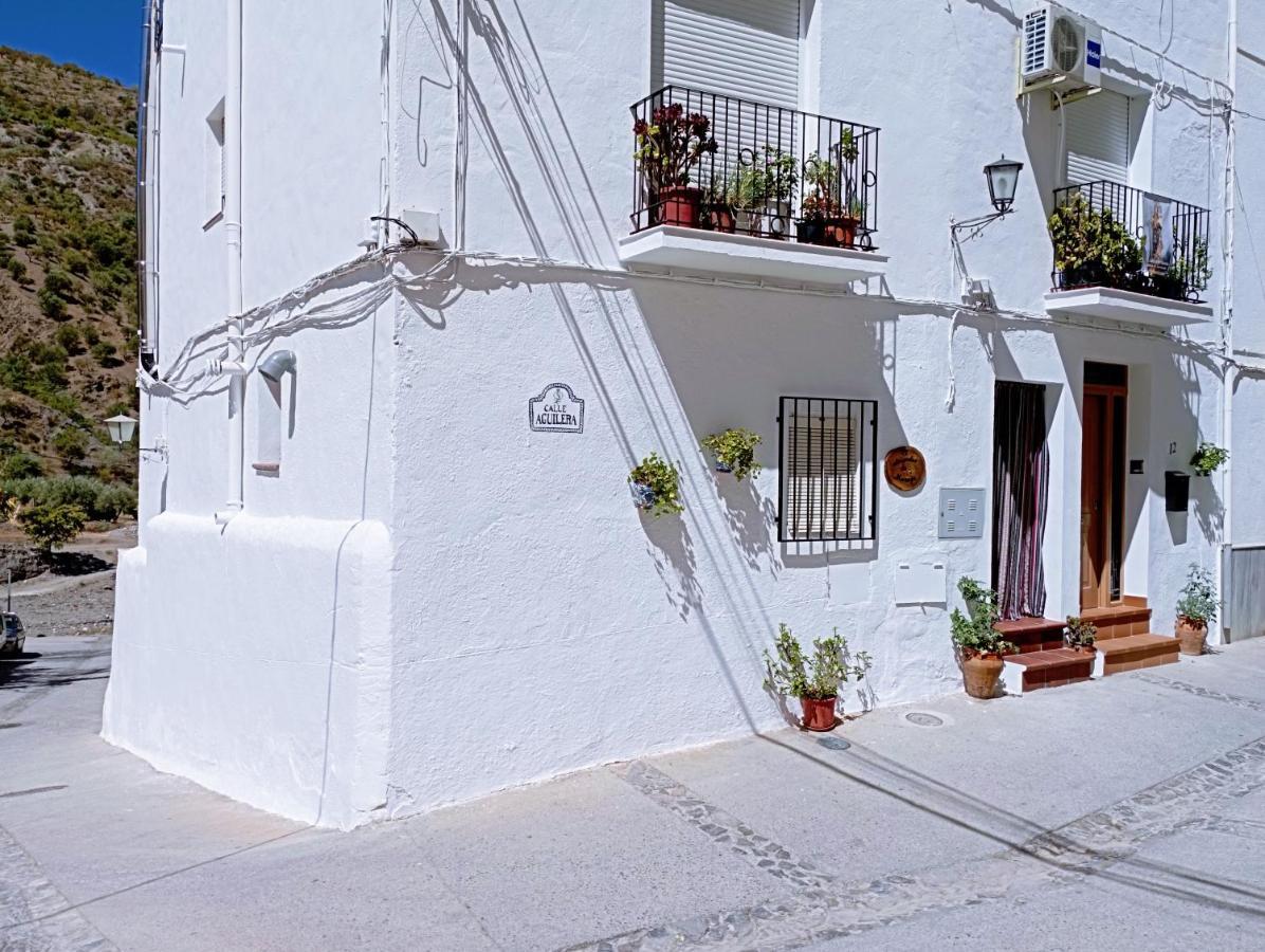 El Almendro De Maruja Apartment Torviscon Bagian luar foto