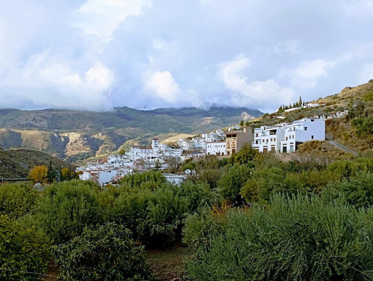 El Almendro De Maruja Apartment Torviscon Bagian luar foto